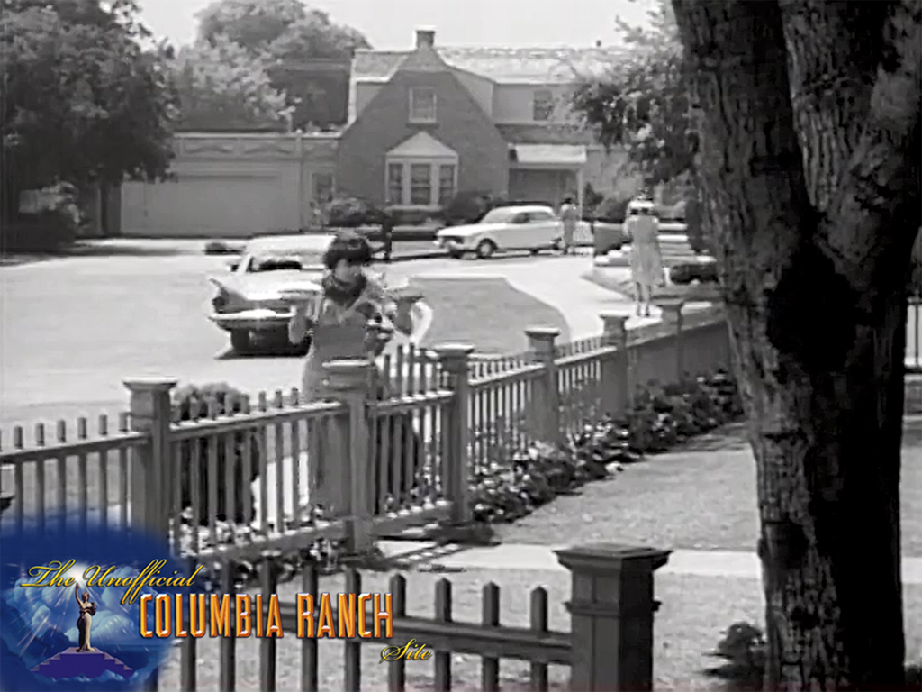 PDVD_091.jpg